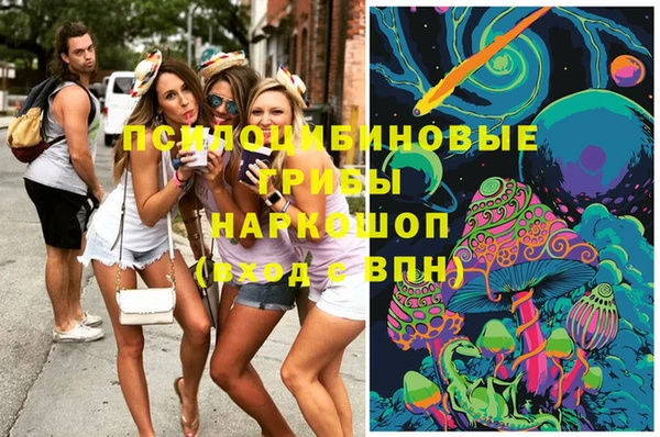 дмт Зеленокумск