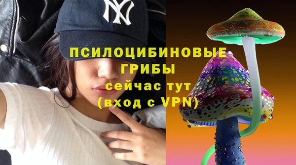 дмт Зеленокумск