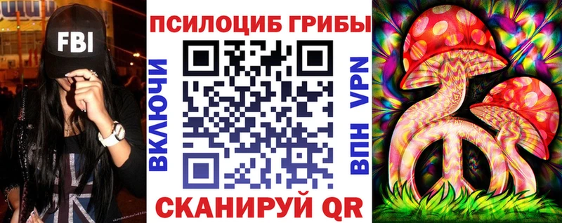 наркотики  Нововоронеж  Галлюциногенные грибы Cubensis 