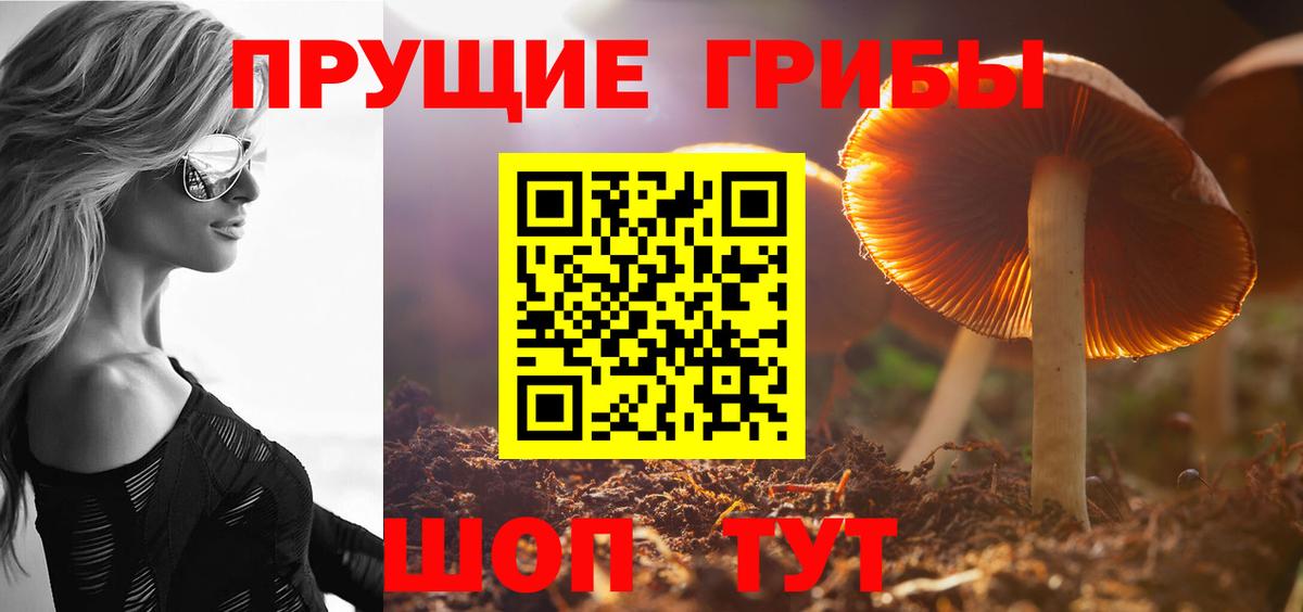 Нововоронеж  Псилоцибиновые грибы MAGIC MUSHROOMS  Псилоцибиновые грибы GOLDEN TEACHER  Вход с VPN 