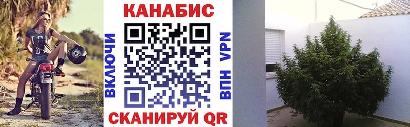сколько стоит  shop Telegram  Каннабис LSD WEED  Нововоронеж 